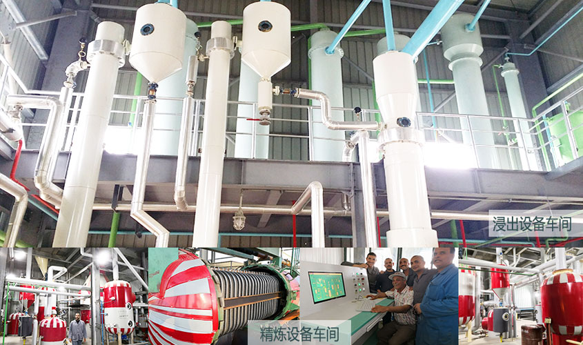 浸出设备,精炼油设备