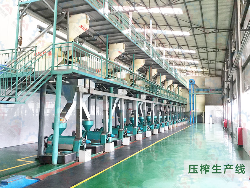 云南罗平120TPD浓香菜籽油压榨精炼设备项目