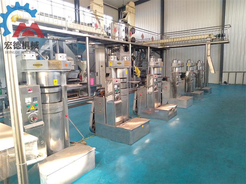 牡丹籽榨油设备