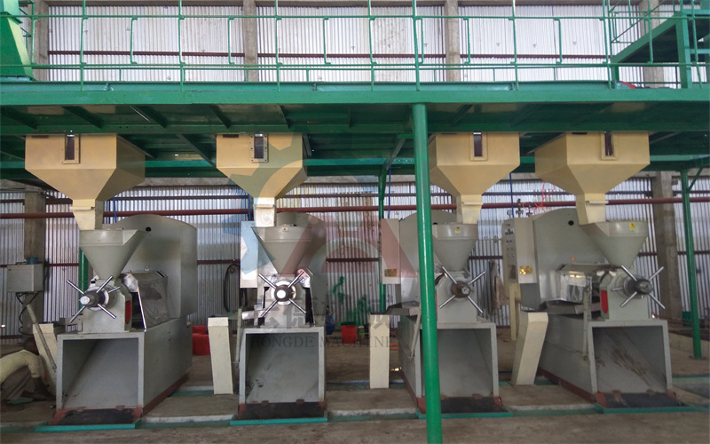 <a href=/zhayouji/ target=_blank class=infotextkey>榨油机</a>