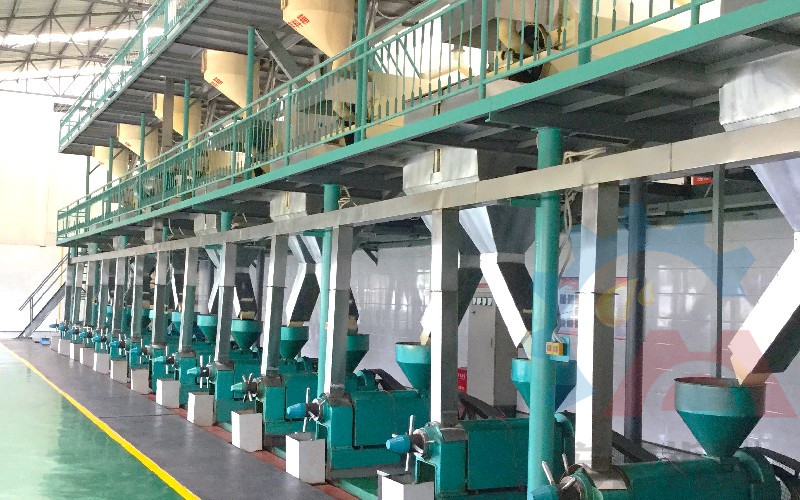 浓香菜籽油生产线客户现场