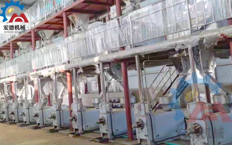 核桃榨油生产线