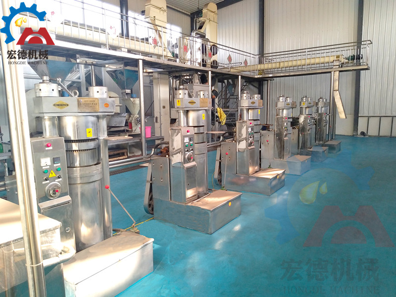 牡丹籽油压榨生产线