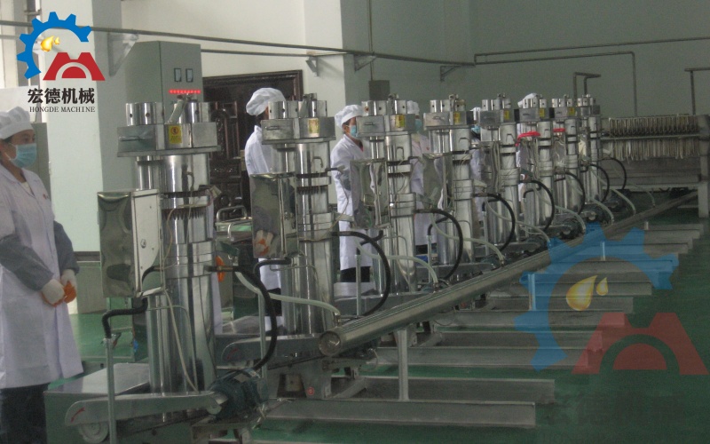 核桃油压榨生产线